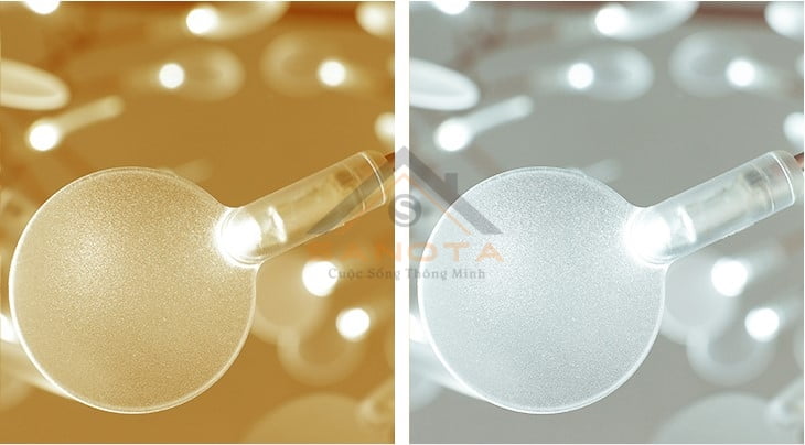 Đèn Heracleum TH851 - Ảnh 2