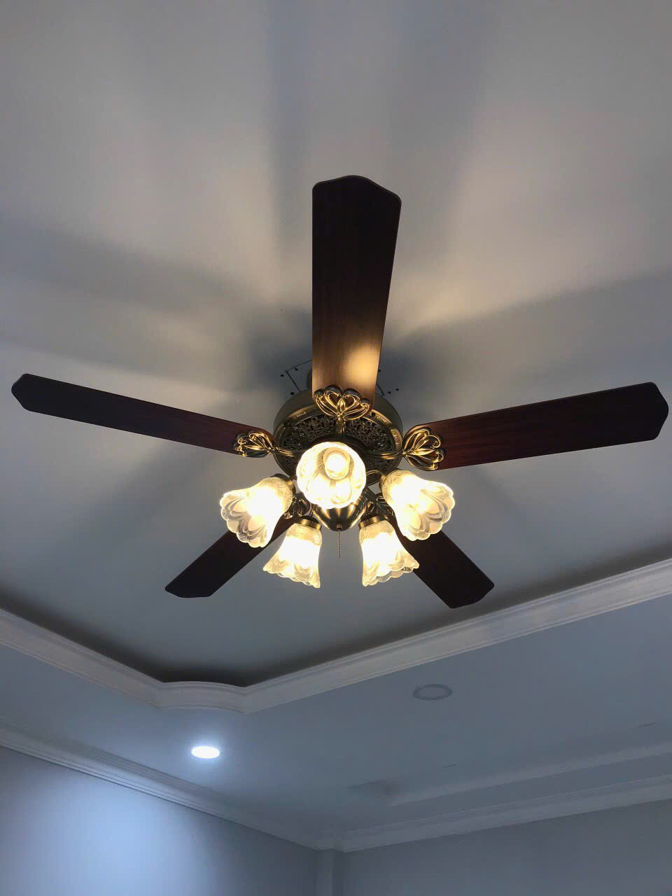 Quạt trần SNT3240