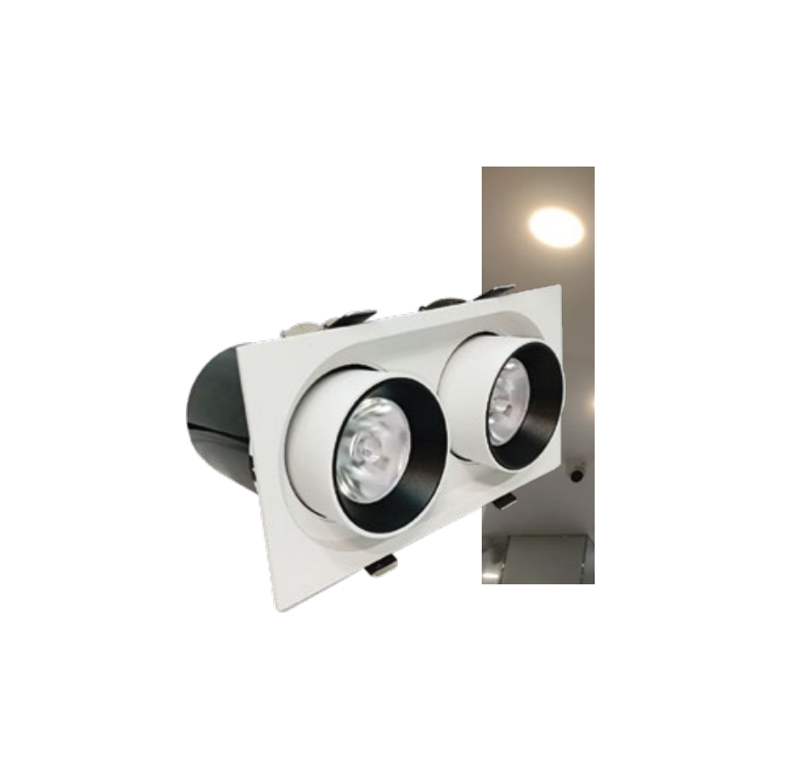 Đèn âm trần đôi module GSATD2X20